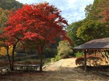 紅葉ツーリング