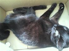 足を踏んで日向ぼっこ～