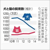 犬から猫へ、が世間の流れ？