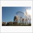 take a picture…kokia