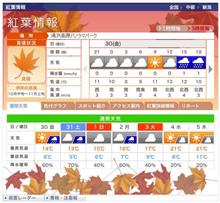 さて、今週末は…