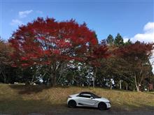 今日も休日を楽しめました！