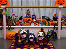 ハッピーハロウィン