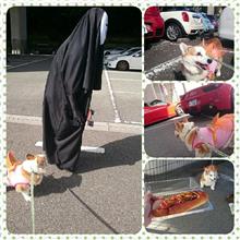 関西舞子にナナハロウィンも行けた