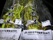 稀代の逃亡者