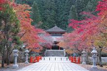 関西も紅葉シーズンに突入♪