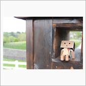 怒涛の初日…だったのか？（ｗ