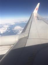 心配だなぁ〜(￣◇￣;)