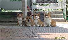 ララさん一周忌。
