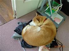 先週の木曜日