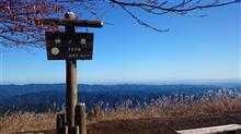 棒ノ折山(棒ノ嶺) 単独登山 棒ノ折山(棒ノ嶺) 単独登山