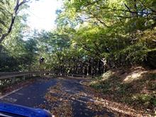 群馬県道53号中之条湯河原線を行く