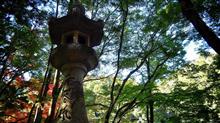 お寺さんで紅葉散策