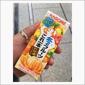 今朝の一本
