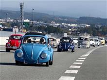 FLASH BUGS RALLY 動画公開