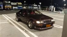 やっと走れるようになった♪