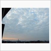 １１月７日　ＢＢＱな土曜日、 ...