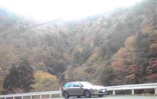 パッチワークみたいな紅葉見てきた パッチワークみたいな紅葉見てきた