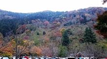 「杉山の会」に初参加♪^^