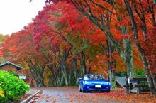 紅葉情報３