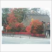 紅葉の富士山🗻をぐるっとま ...