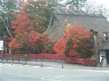 紅葉の富士山🗻をぐるっとまわってきましたぁ～(*^▽^*)