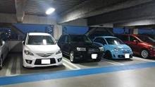 駐車場での小さな幸せ