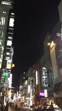 新地