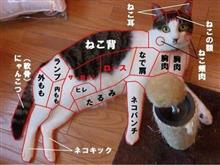 もふもふしてぇ(*&#180;д｀*)ﾊｧﾊｧ 