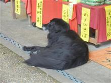 今年最後の鈴鹿へ