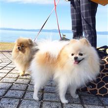 琵琶湖ドライブ