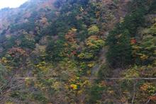 寸又峡の紅葉