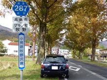 残念！　ちょっと早かったか・・・