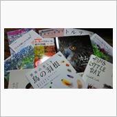 本屋さんがなくなる…  (T ...
