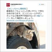 エンジンルームやボンネットに ...