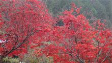 昇仙峡(山梨)紅葉ドライブ① 昇仙峡(山梨)紅葉ドライブ①