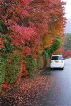 山梨紅葉の旅