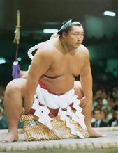貴方は本当に憎たらしいほど強かった