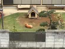 やる気出ない…