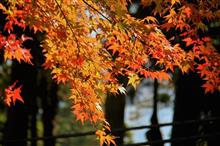 日本百名山　～秋の筑波山　紅葉狩り～　