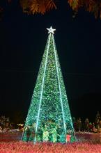 １１月２３日　３連休も最終日な月曜日、おはよ～♪