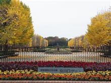 昭和記念公園(≧o≦)ﾉ