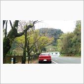 紅葉も