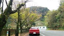 紅葉も 紅葉も