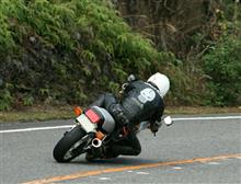 平日のうっぷんを週末に晴らして・・・。