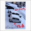 雪、積もりました。