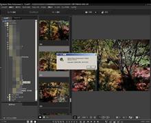Digital Photo Professional 4.3.31 (J)