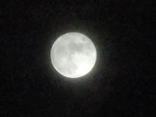 今日は満月でした(^^♪