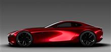 RX VISION