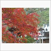 １１月２３日月曜日（勤労感謝 ...
